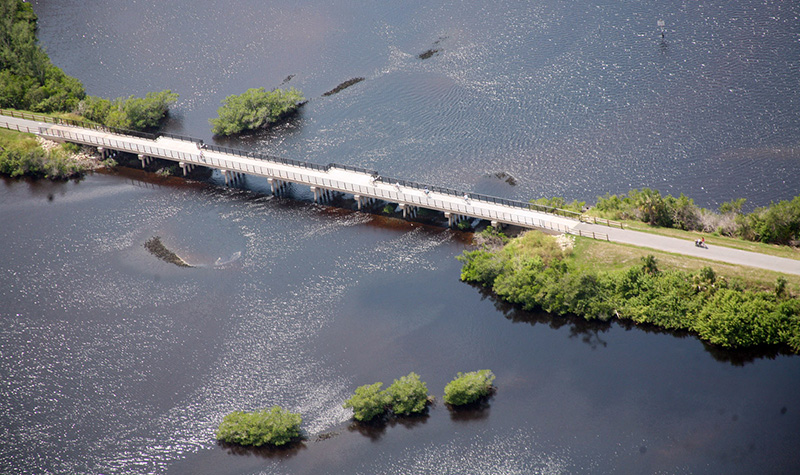 Roberts and Dona Bay Trail Bridges - Structural Design & Analysis - Ayres